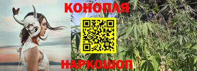 мдпв Пушкино