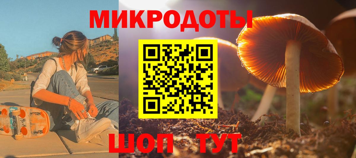 Галлюциногенные грибы Cubensis Новороссийск